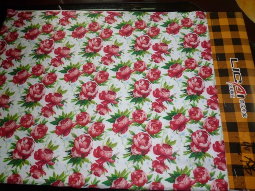 2012081362860501.jpg