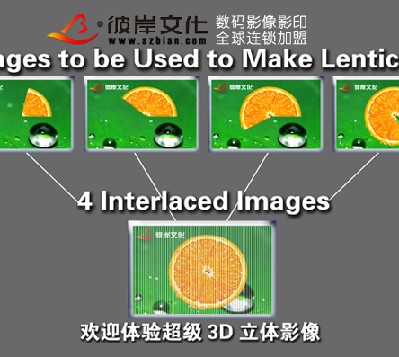 2012120149644737.jpg